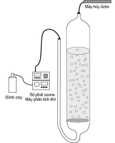 Xử lý khuẩn Escherichia Coli bằng ozone trong nước ép táo ở độ pH khác nhau