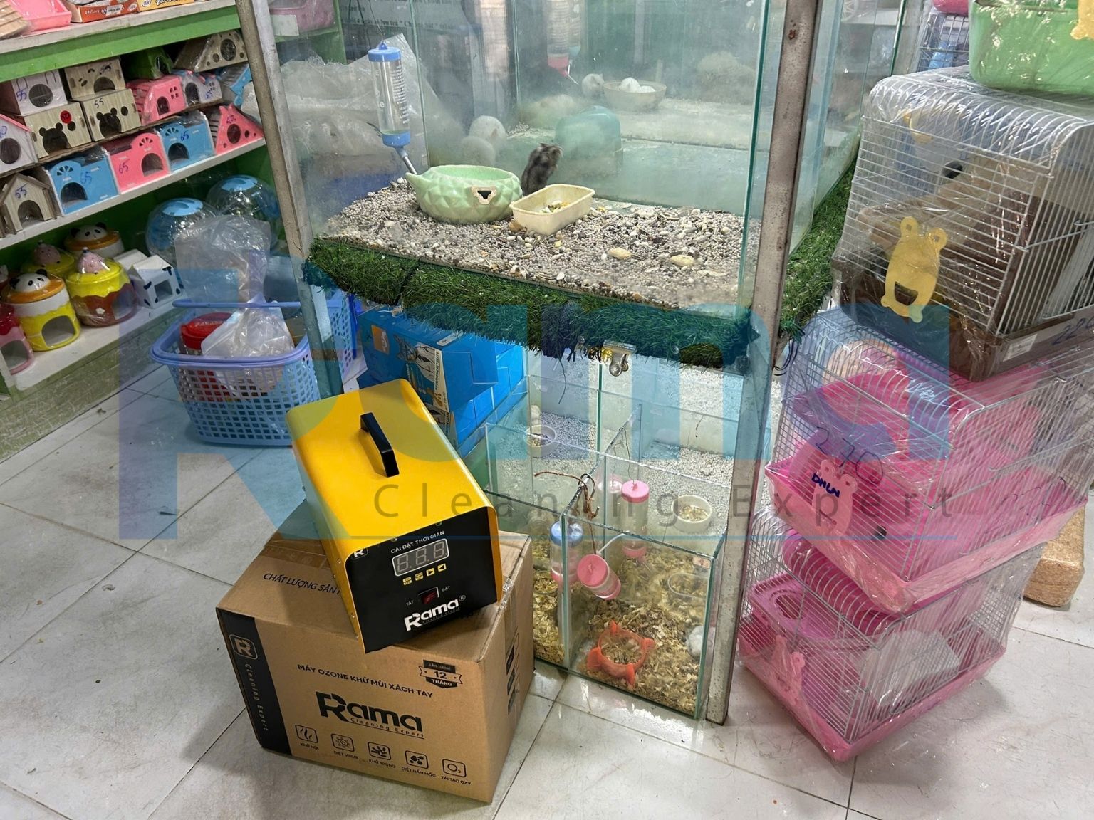 Mùi thú cưng và bài toán duy trì không gian dễ chịu tại pet shop